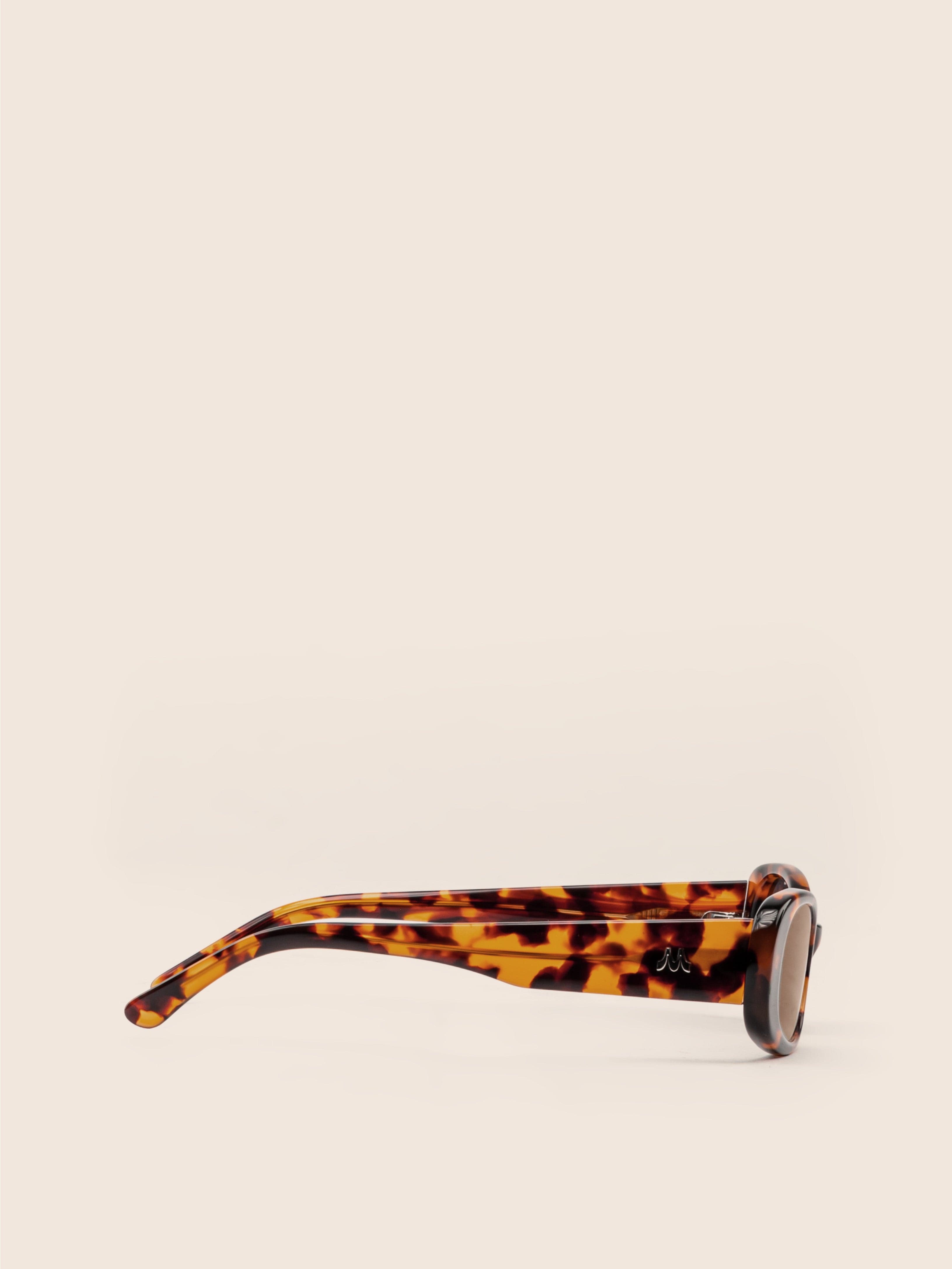 Brooklyn Tortoise Sunglasses