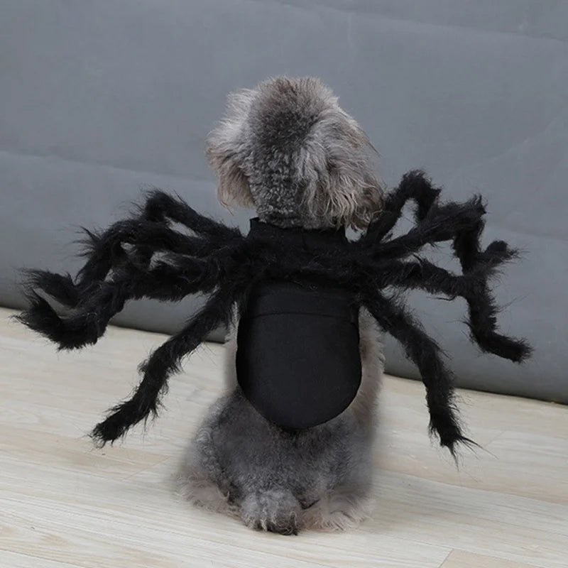 Halloween Pet Spider Clothes  Simulation Black Spider Puppy Cosplay Costume For Dogs Cats Party Cosplay Funny Outfit