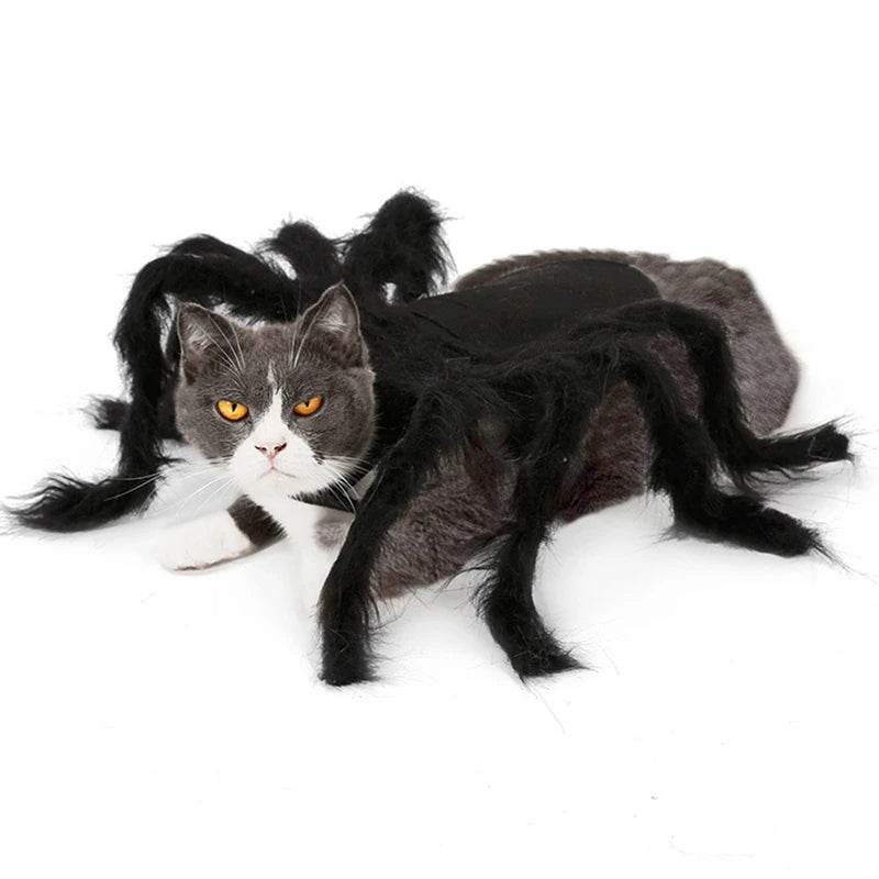 Halloween Pet Spider Clothes  Simulation Black Spider Puppy Cosplay Costume For Dogs Cats Party Cosplay Funny Outfit