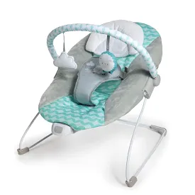 Ingenuity Ity Bouncity Bounce Vibrating Deluxe Bouncer Goji