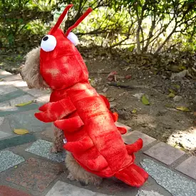 Pet Clothes Halloween Lobster Transformation Cats and Dogs Costumes Teddy Corgi Autumn and Winter New Dog Costumes Wholesale