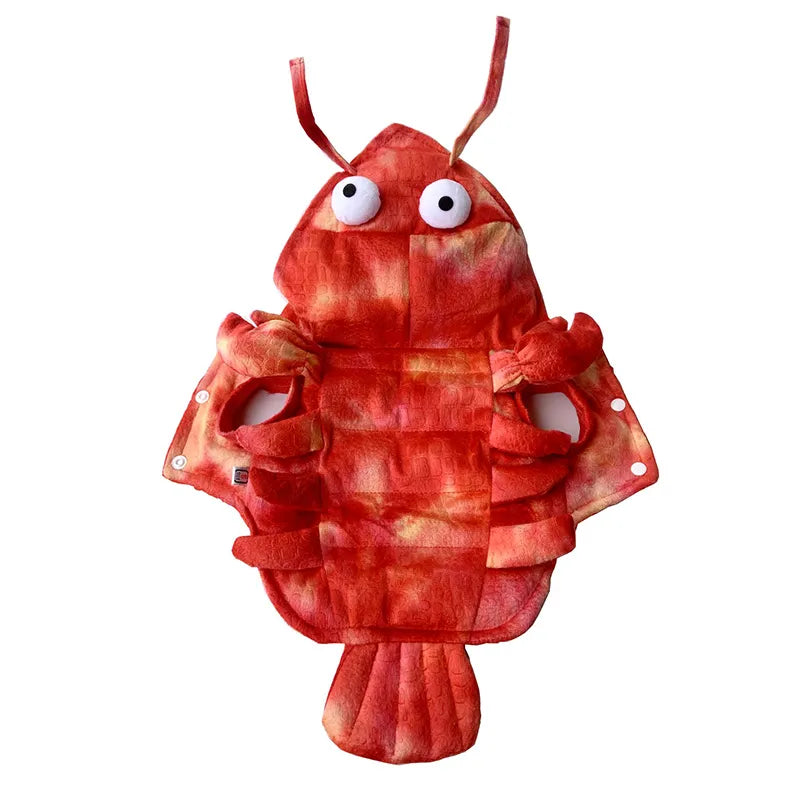 Pet Clothes Halloween Lobster Transformation Cats and Dogs Costumes Teddy Corgi Autumn and Winter New Dog Costumes Wholesale