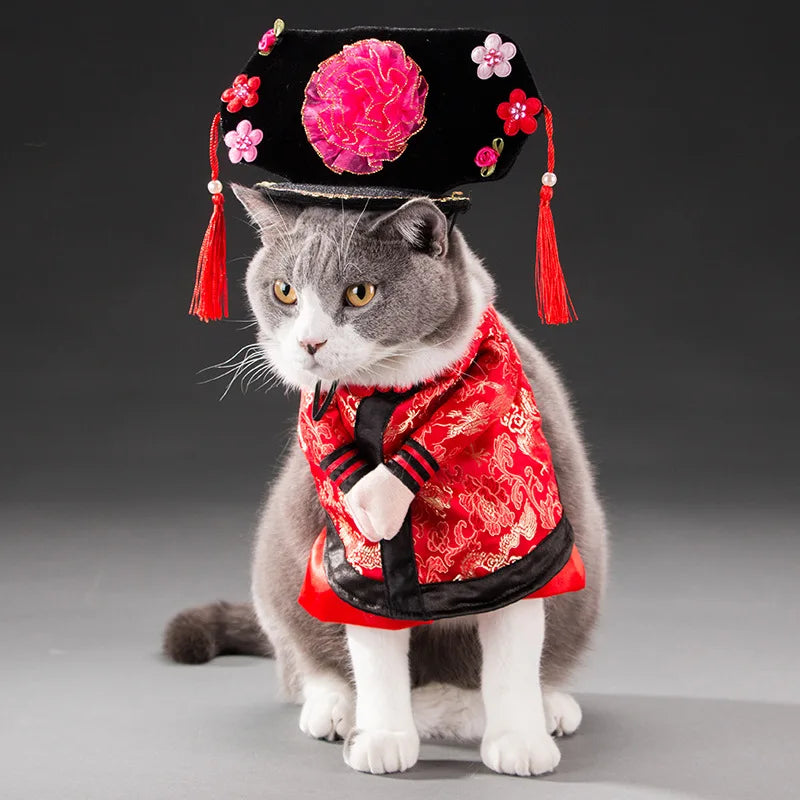 Spring Autumn Pet Cat Costumes for Small Dogs Cute Funny Clothes Standing Transformed Three-dimensional Dog Halloween